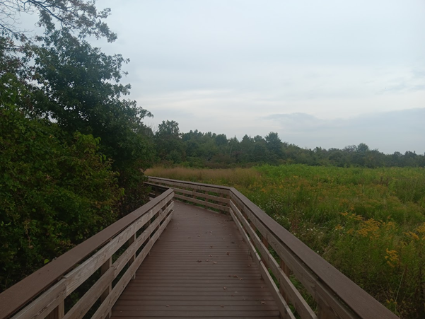 Mount Loretto Unique Area on Staten Island. Image Credit - J Barnes