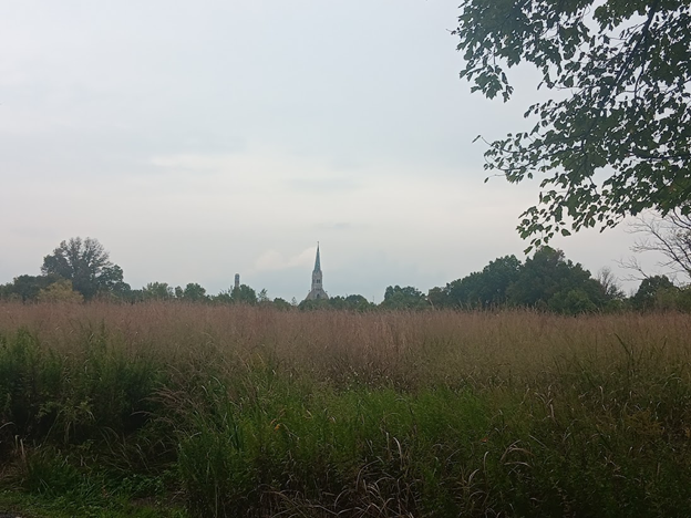 Mount Loretto Unique Area on Staten Island. Image Credit - J Barnes