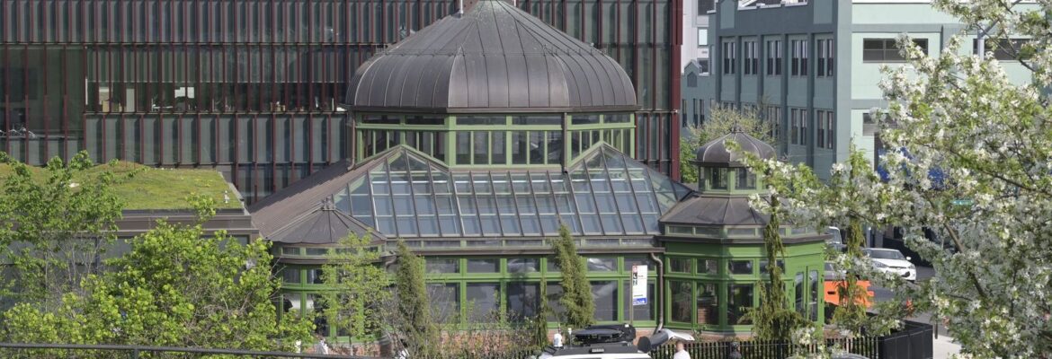 The renovated greenhouse