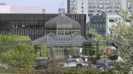 The renovated greenhouse